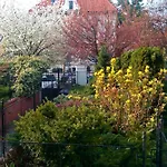 Great Appartment In Vinohrady